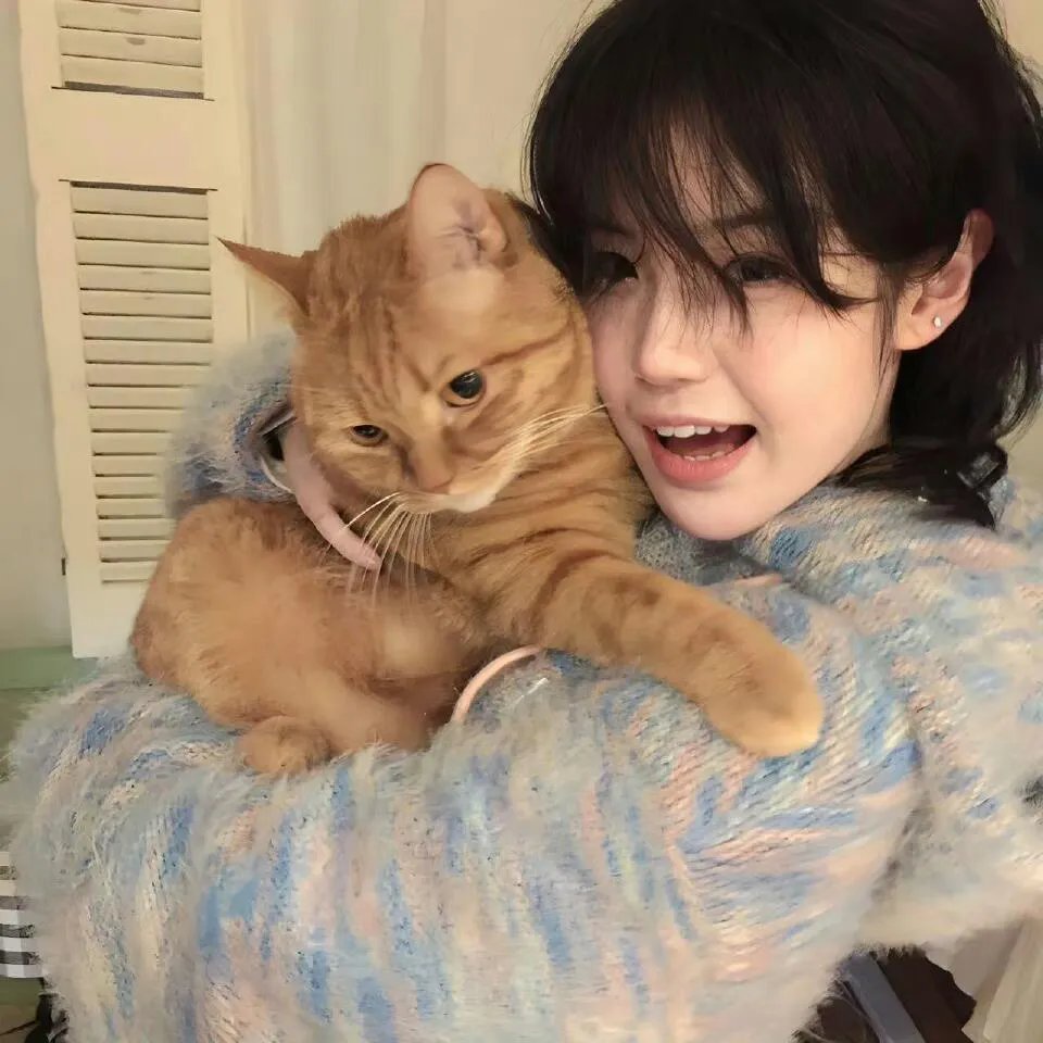 极主夫道 爆笑!找碴SP